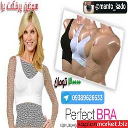 perfect bra0 500x331 1