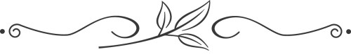text divider png